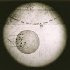 Meet your Posher, Rose